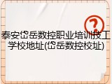 泰安岱岳数控职业培训技工学校地址(岱岳数控校址)