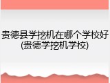 贵德县学挖机在哪个学校好(贵德学挖机学校)