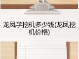 龙凤学挖机多少钱(龙凤挖机价格)