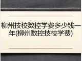 柳州技校数控学费多少钱一年(柳州数控技校学费)