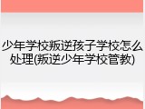 少年学校叛逆孩子学校怎么处理(叛逆少年学校管教)