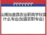山南加查县农业职高学校读什么专业(加查农职专业)