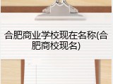合肥商业学校现在名称(合肥商校现名)