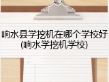 响水县学挖机在哪个学校好(响水学挖机学校)