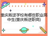 重庆叛逆学校有哪些职业高中生(重庆叛逆职高)