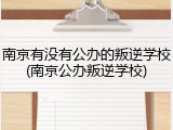 南京有没有公办的叛逆学校(南京公办叛逆学校)