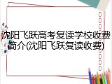 沈阳飞跃高考复读学校收费简介(沈阳飞跃复读收费)