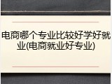 电商哪个专业比较好学好就业(电商就业好专业)