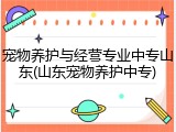 宠物养护与经营专业中专山东(山东宠物养护中专)