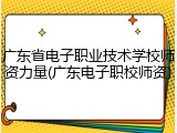 广东省电子职业技术学校师资力量(广东电子职校师资)