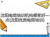 沈阳电商培训机构哪家好一点(沈阳优质电商培训)