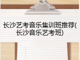 长沙艺考音乐集训班推荐(长沙音乐艺考班)