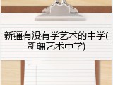 新疆有没有学艺术的中学(新疆艺术中学)