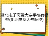 湖北电子商务大专学校有哪些(湖北电商大专院校)