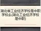 湖北省工业经济学校是中职学校么(湖北工业经济学校是中职)