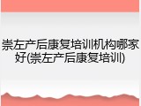 崇左产后康复培训机构哪家好(崇左产后康复培训)