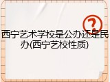 西宁艺术学校是公办还是民办(西宁艺校性质)
