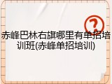 赤峰巴林右旗哪里有单招培训班(赤峰单招培训)