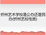 忻州艺术学校是公办还是民办(忻州艺校性质)
