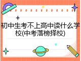 初中生考不上高中读什么学校(中考落榜择校)
