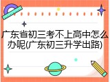 广东省初三考不上高中怎么办呢(广东初三升学出路)