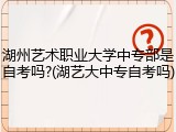 湖州艺术职业大学中专部是自考吗?(湖艺大中专自考吗)