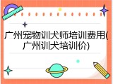 广州宠物训犬师培训费用(广州训犬培训价)