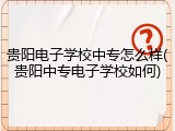 贵阳电子学校中专怎么样(贵阳中专电子学校如何)