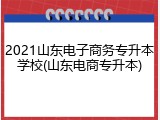 2021山东电子商务专升本学校(山东电商专升本)