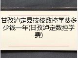 甘孜泸定县技校数控学费多少钱一年(甘孜泸定数控学费)