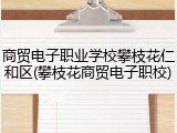 商贸电子职业学校攀枝花仁和区(攀枝花商贸电子职校)