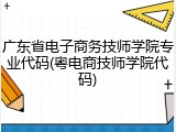 广东省电子商务技师学院专业代码(粤电商技师学院代码)