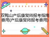 双鸭山产后康复师报考指南费用(产后康复师报考费用)