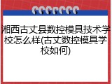 湘西古丈县数控模具技术学校怎么样(古丈数控模具学校如何)