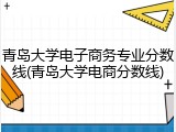 青岛大学电子商务专业分数线(青岛大学电商分数线)