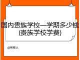 国内贵族学校一学期多少钱(贵族学校学费)