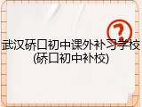 武汉硚口初中课外补习学校(硚口初中补校)