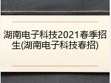 湖南电子科技2021春季招生(湖南电子科技春招)