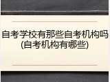 自考学校有那些自考机构吗(自考机构有哪些)