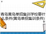青岛黄岛单招集训学校要什么条件(黄岛单招集训条件)
