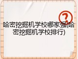 哈密挖掘机学校哪家强(哈密挖掘机学校排行)