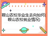 鞍山农校毕业生去向如何(鞍山农校就业情况)
