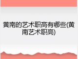 黄南的艺术职高有哪些(黄南艺术职高)