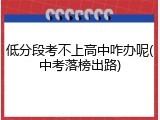 低分段考不上高中咋办呢(中考落榜出路)