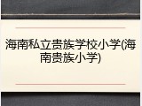 海南私立贵族学校小学(海南贵族小学)