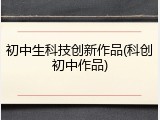 初中生科技创新作品(科创初中作品)