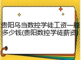 贵阳乌当数控学徒工资一般多少钱(贵阳数控学徒薪资)