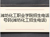 潍坊化工职业学院招生电话号码(潍坊化工招生电话)