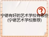 宁德有好的艺术学校有哪些(宁德艺术学校推荐)