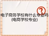 电子商务学校有什么专业吗(电商学校专业)